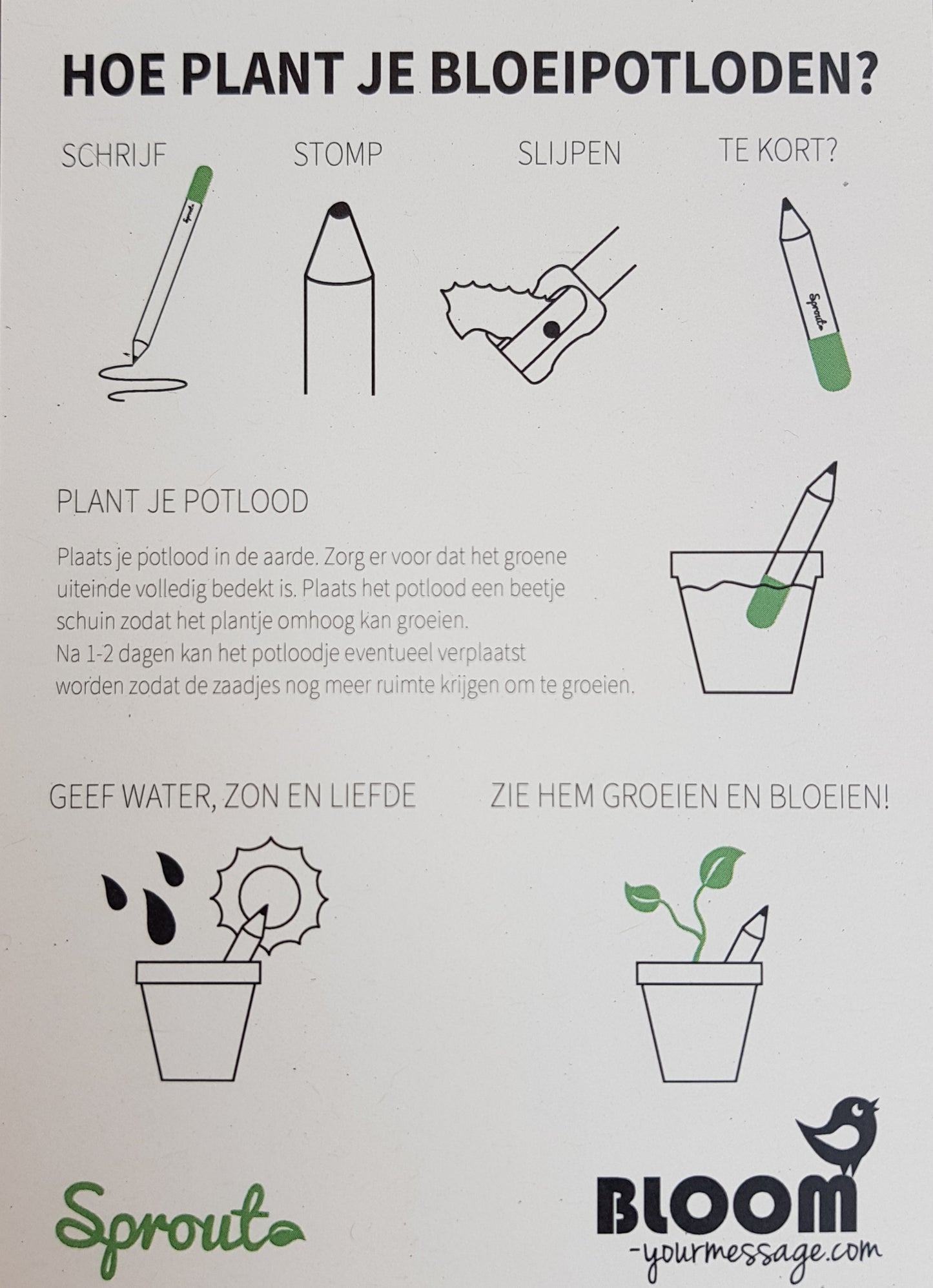 Bloeipotloden - Tijm