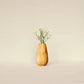 Harry - Lilas