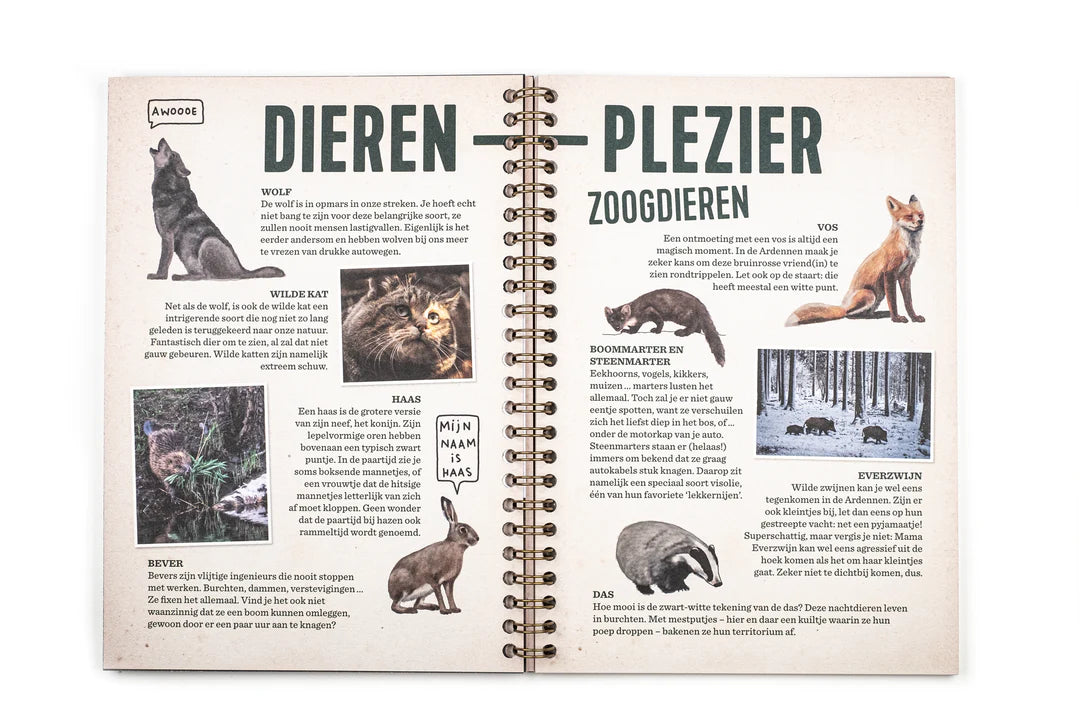 Op avontuur in de Ardennen