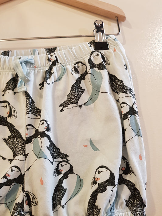 OUTLET - Skylight Puffin - Short